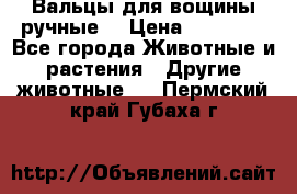 Вальцы для вощины ручные  › Цена ­ 10 000 - Все города Животные и растения » Другие животные   . Пермский край,Губаха г.